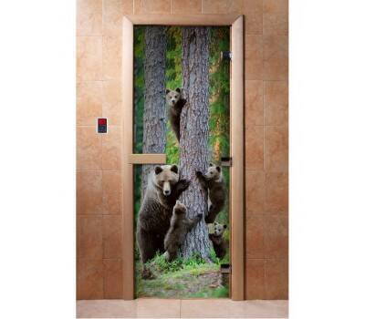 Дверь Doorwood A064 (700х1900мм, 8мм) Дверь Doorwood A064 (700х1900мм, 8мм)